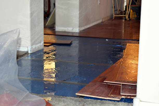 Professional Burst Pipe Cleanup technician working in Fruitvale, TX
